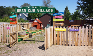 bear cub village